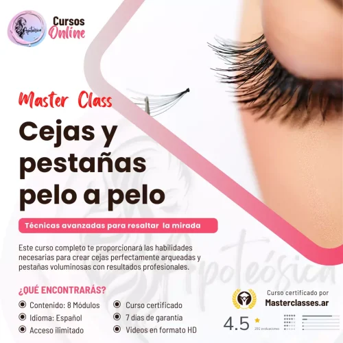 Master de pestañas pelo a pelo